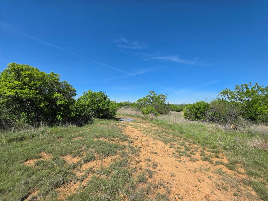 10315 Fm 45 Property Photo 8