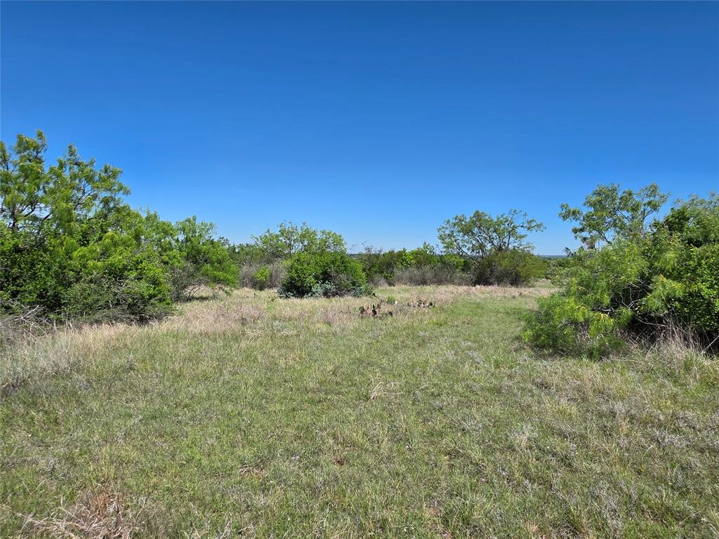 10315 Fm 45 Property Photo 9