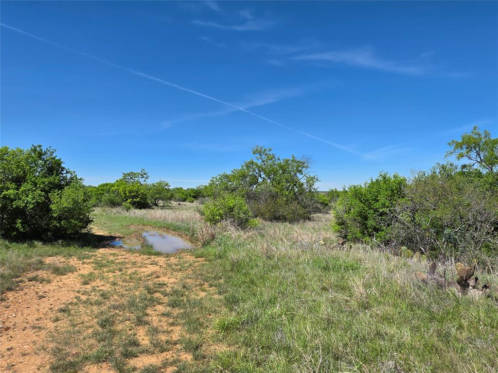 10315 Fm 45 Property Photo 10