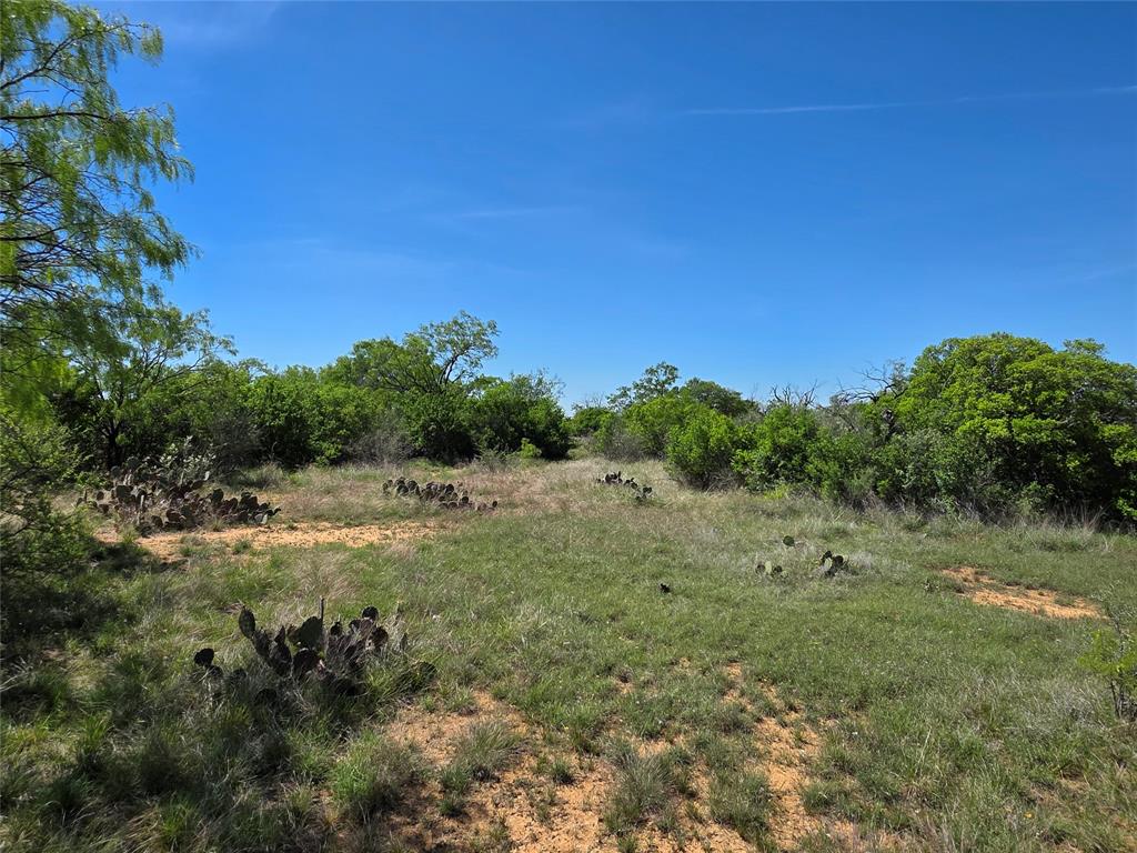 10315 Fm 45 Property Photo 11