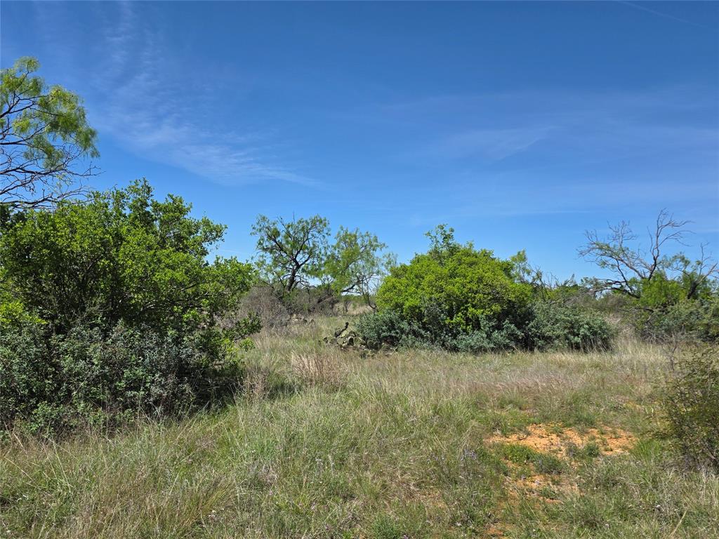 10315 Fm 45 Property Photo 12