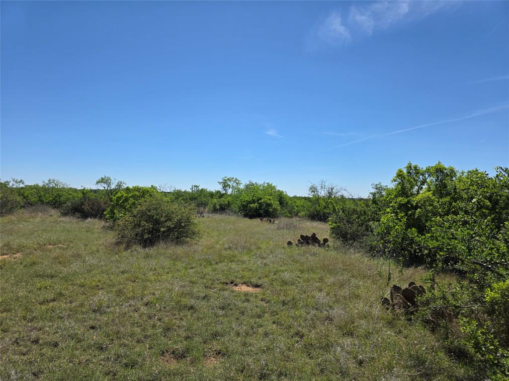 10315 Fm 45 Property Photo 13