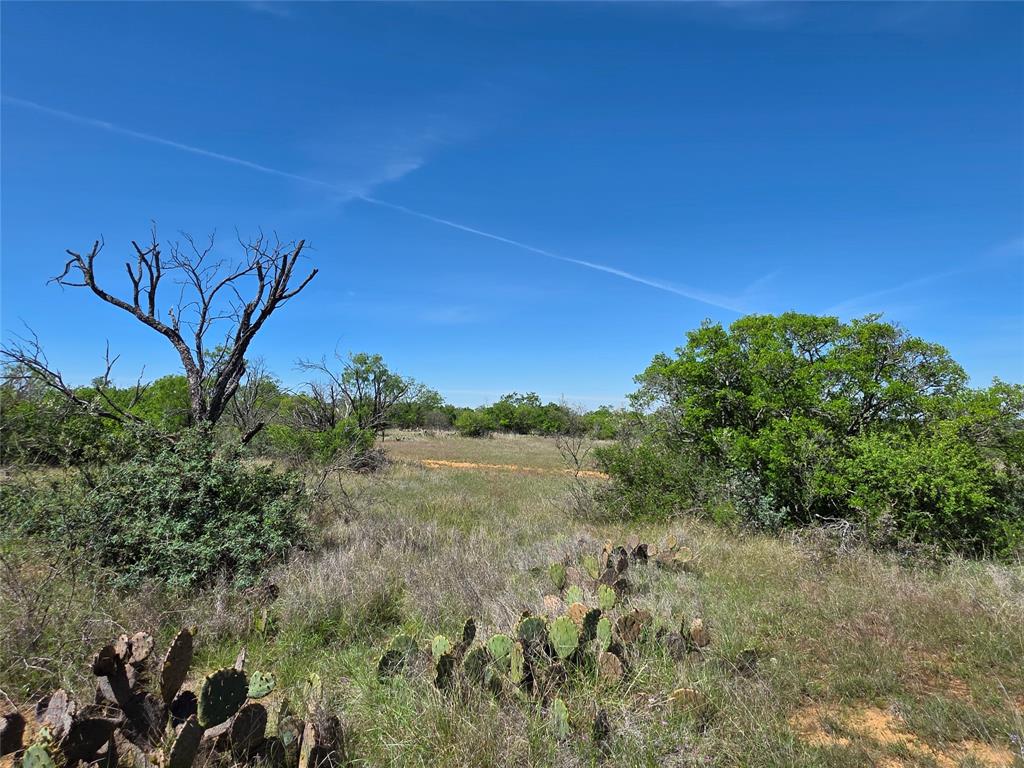 10315 Fm 45 Property Photo 14