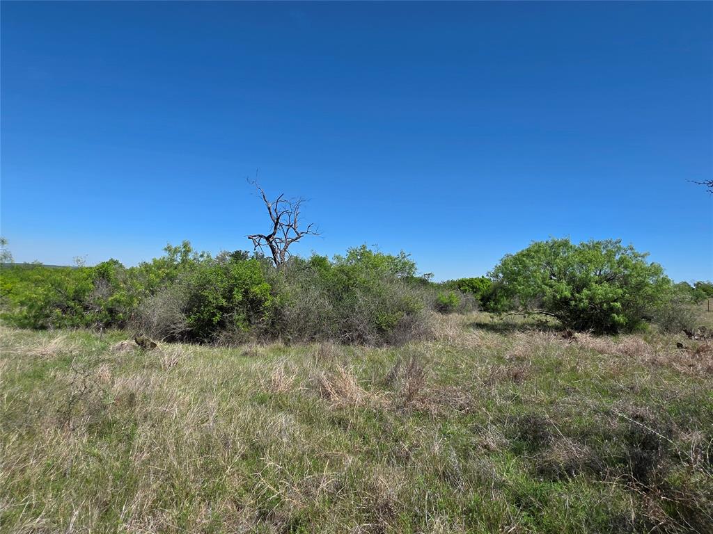 10315 Fm 45 Property Photo 15