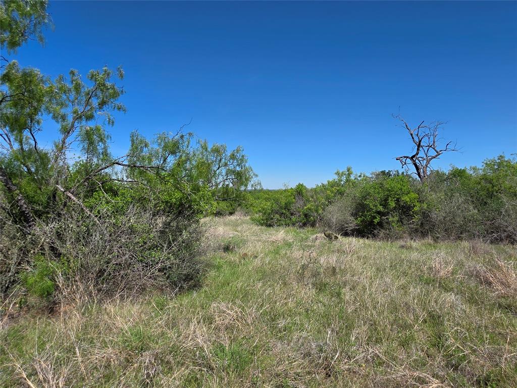 10315 Fm 45 Property Photo 16