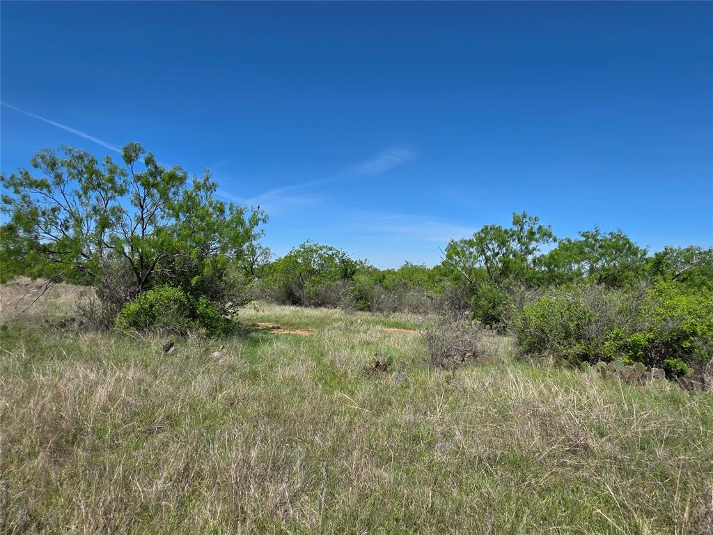 10315 Fm 45 Property Photo 17