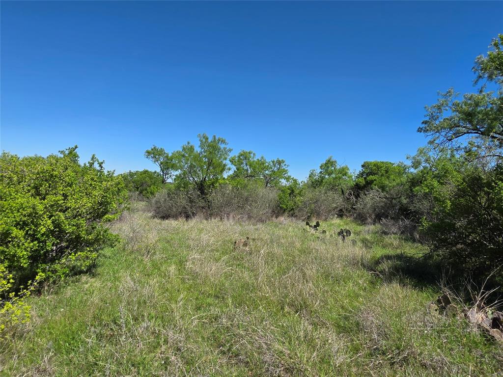 10315 Fm 45 Property Photo 18