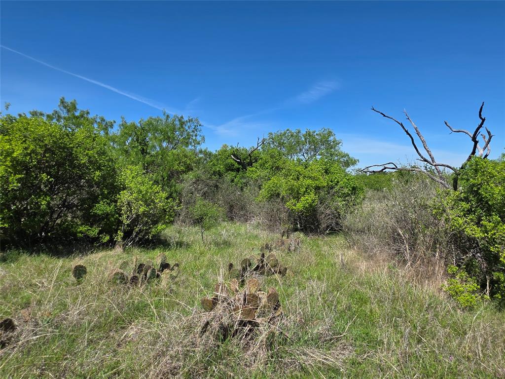 10315 Fm 45 Property Photo 19