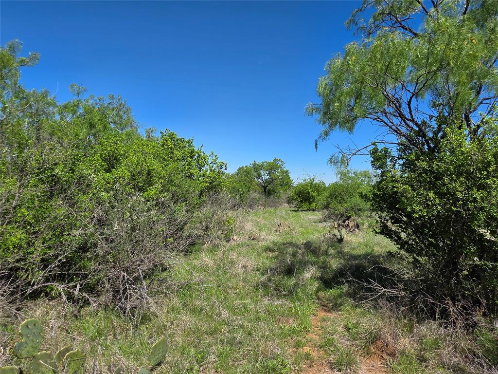 10315 Fm 45 Property Photo 20