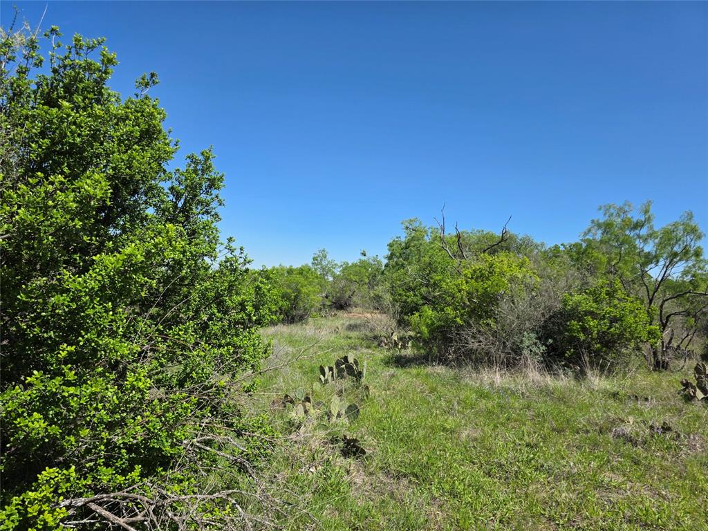 10315 Fm 45 Property Photo 21