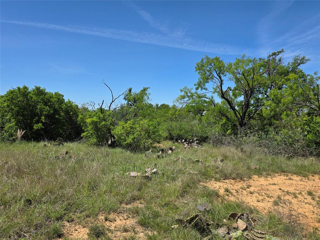 10315 Fm 45 Property Photo 23