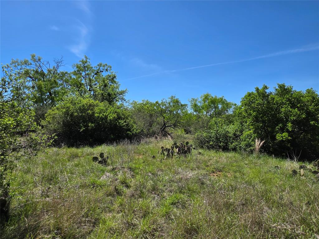 10315 Fm 45 Property Photo 24