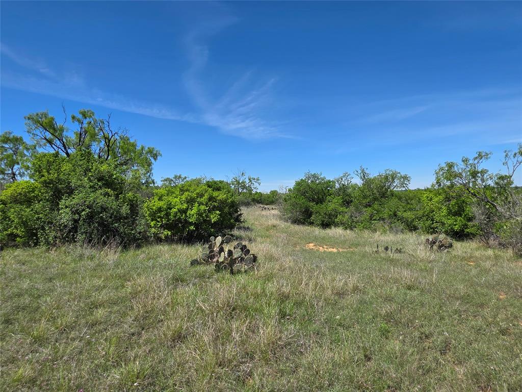 10315 Fm 45 Property Photo 26