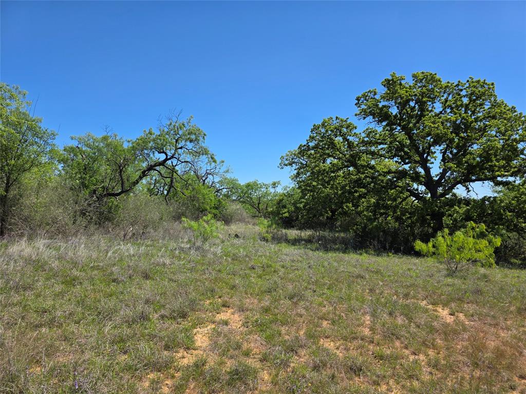 10315 Fm 45 Property Photo 28