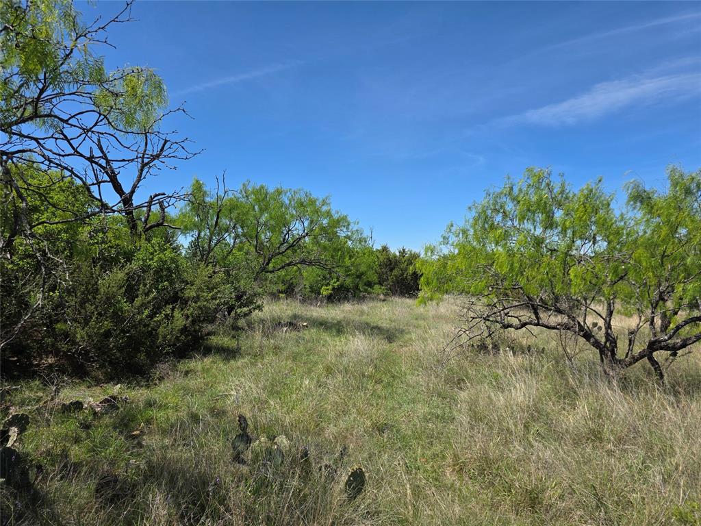10315 Fm 45 Property Photo 29