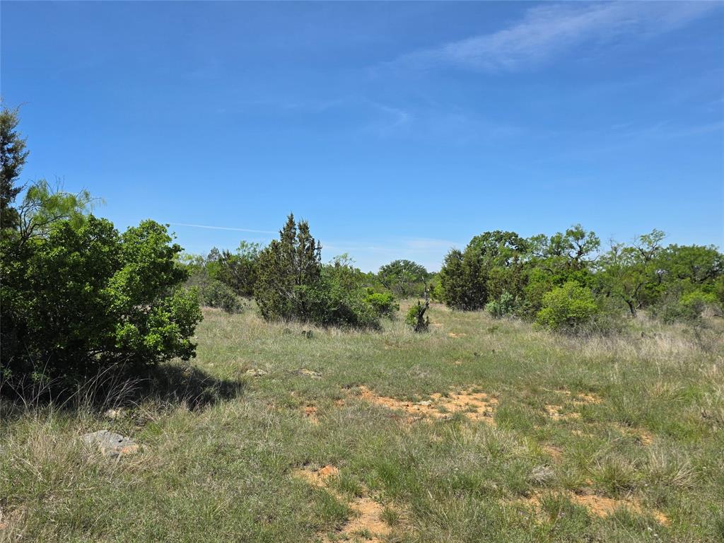 10315 Fm 45 Property Photo 31