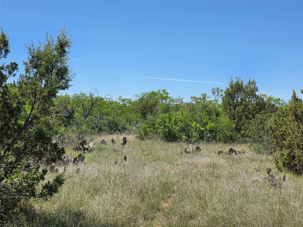 10315 Fm 45 Property Photo 33