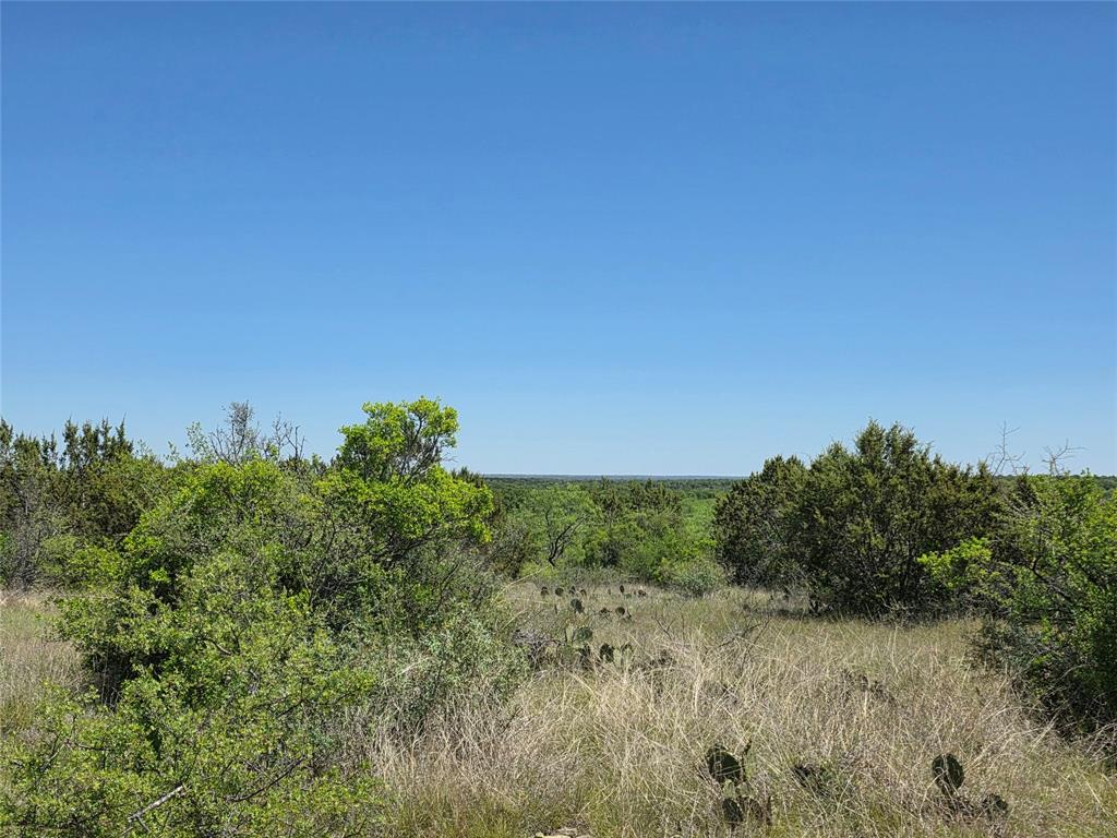 10315 Fm 45 Property Photo 34