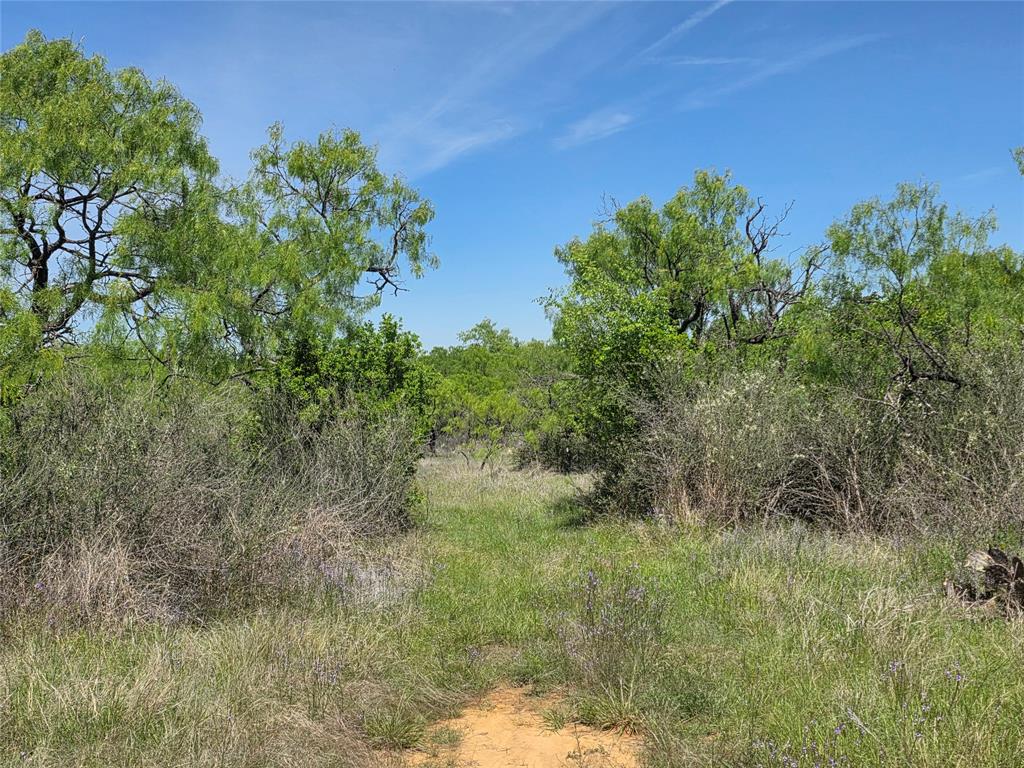 10315 Fm 45 Property Photo 37