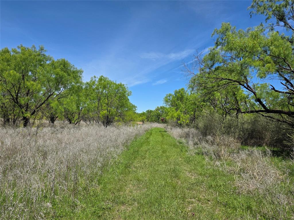 10315 Fm 45 Property Photo 38
