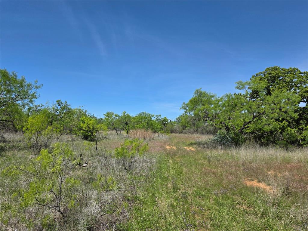 10315 Fm 45 Property Photo 39