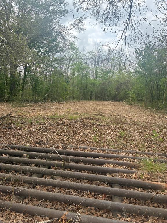 1050 Highway 37 Property Photo 2