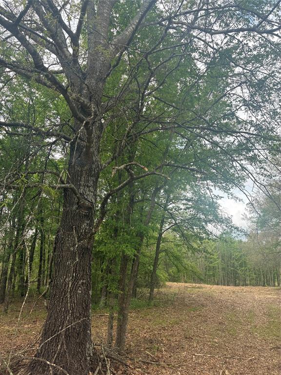 1050 Highway 37 Property Photo 3