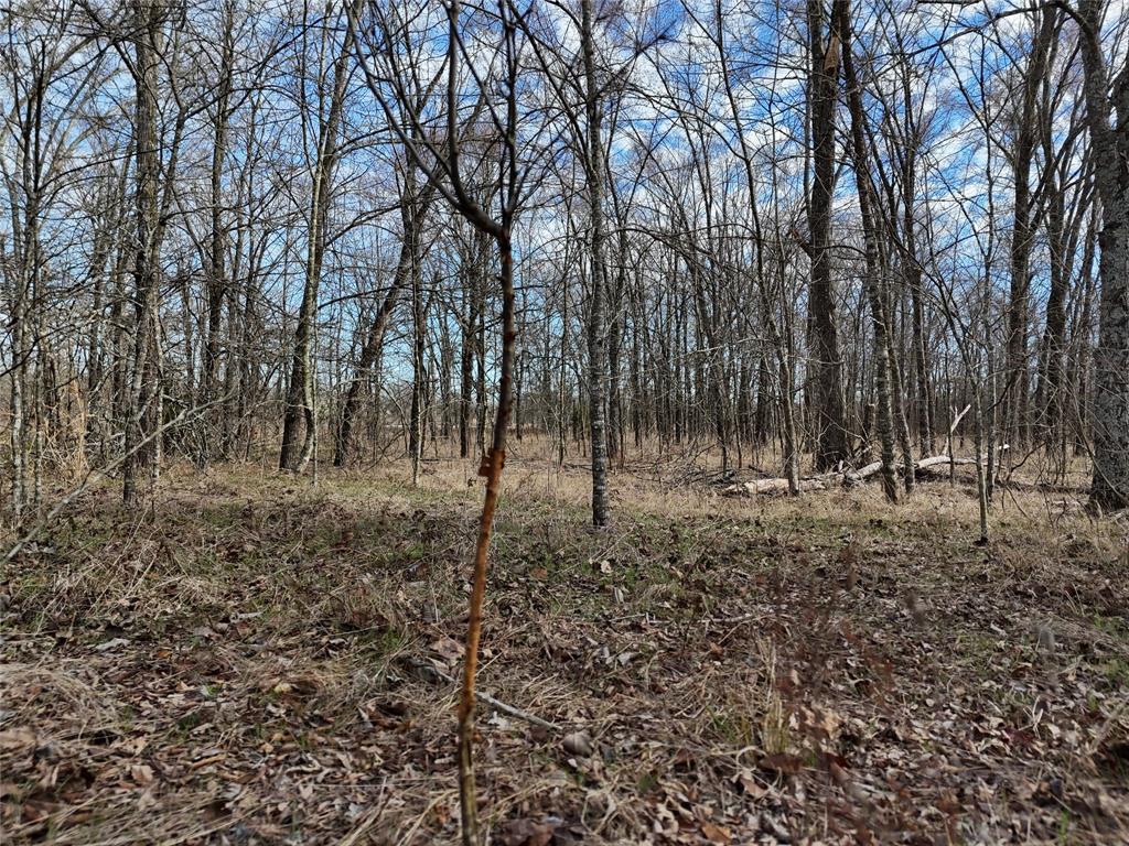 1050 Highway 37 Property Photo 4
