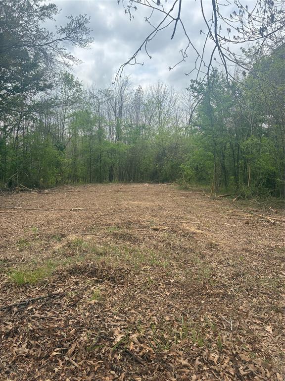 1050 Highway 37 Property Photo 6