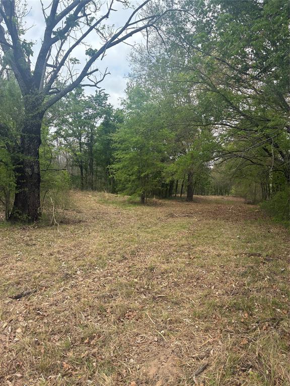 1050 Highway 37 Property Photo 8