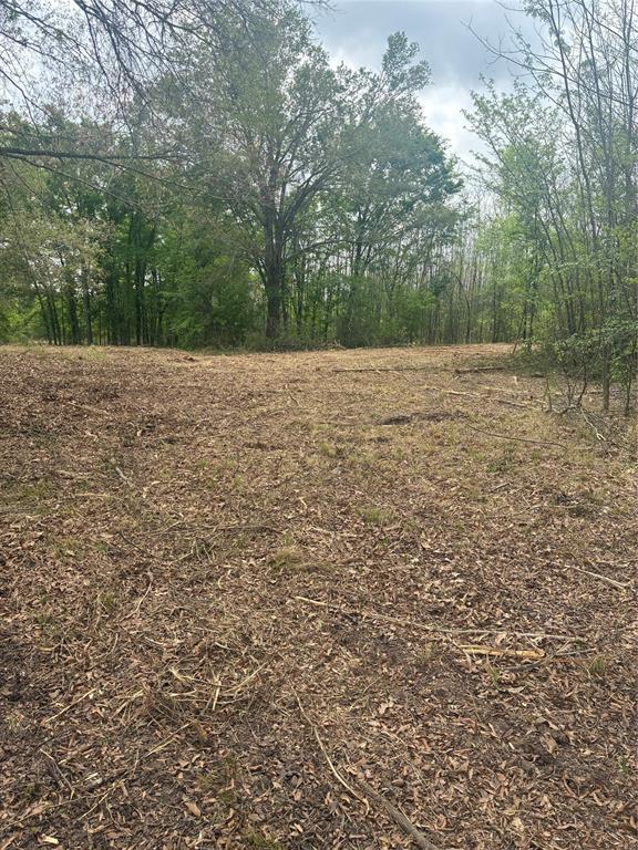 1050 Highway 37 Property Photo 9