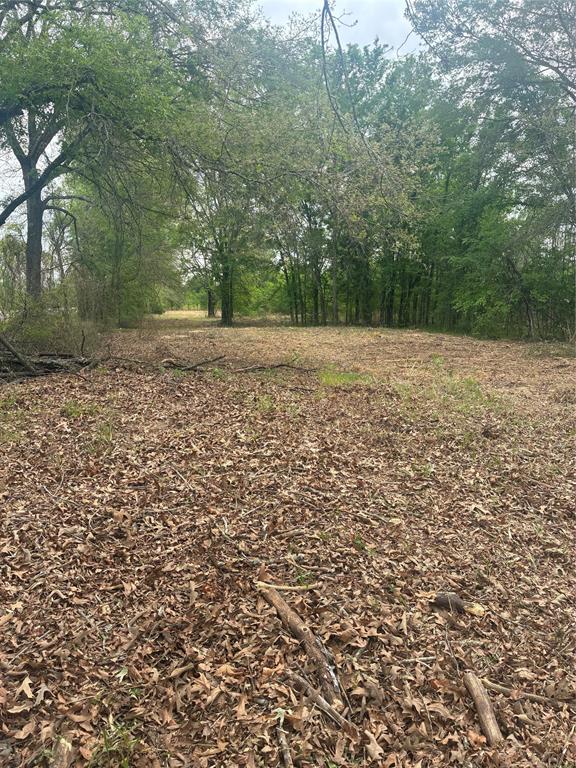 1050 Highway 37 Property Photo 10