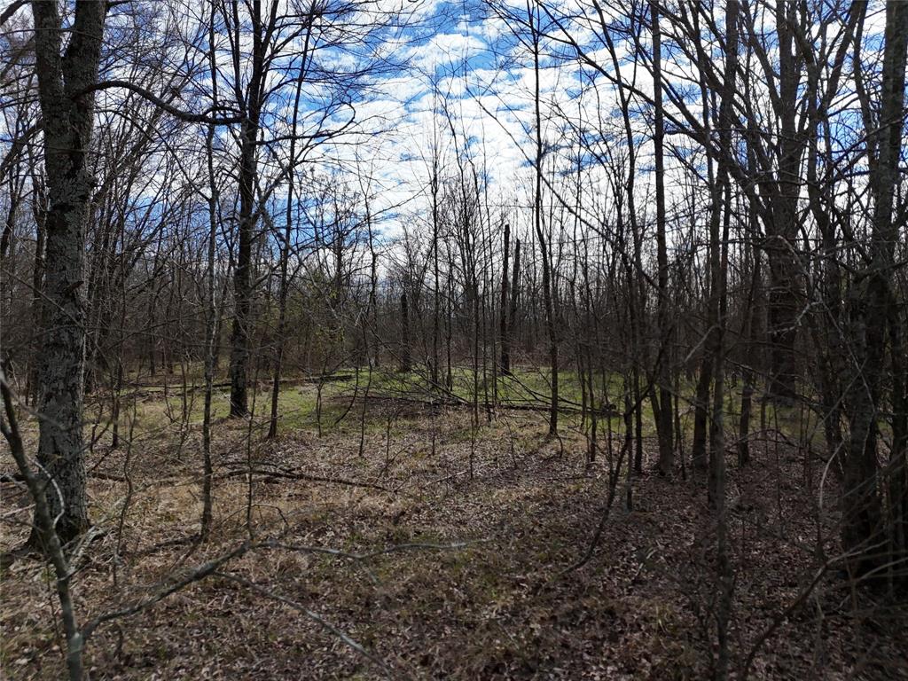 1050 Highway 37 Property Photo 13
