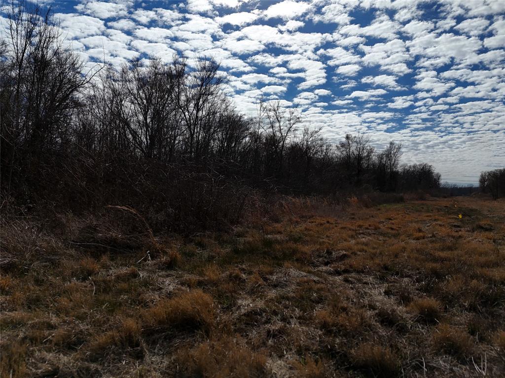 1050 Highway 37 Property Photo 14