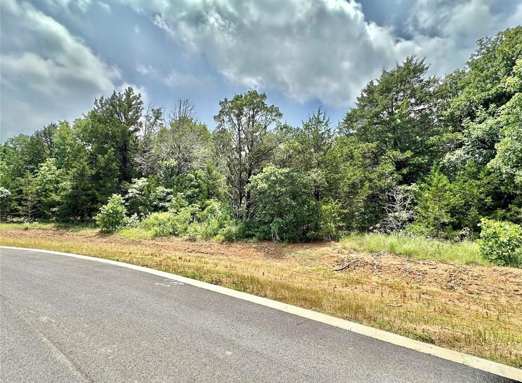 137 Whispering Pine Drive Property Photo 3