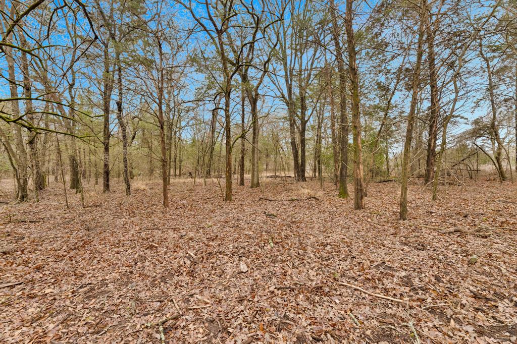 Tbd Co Rd 343 Property Photo 1