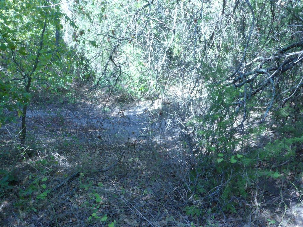1746 Dog Kennel Road Property Photo 16