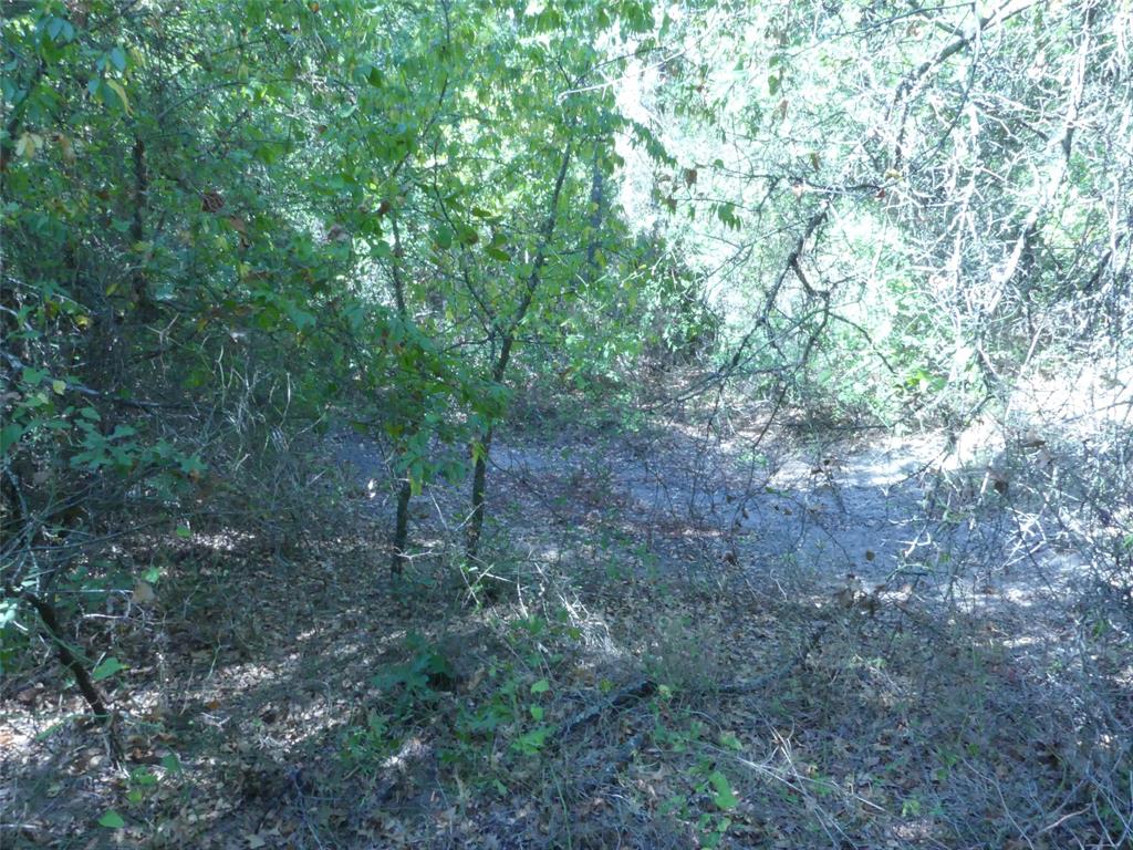 1746 Dog Kennel Road Property Photo 17