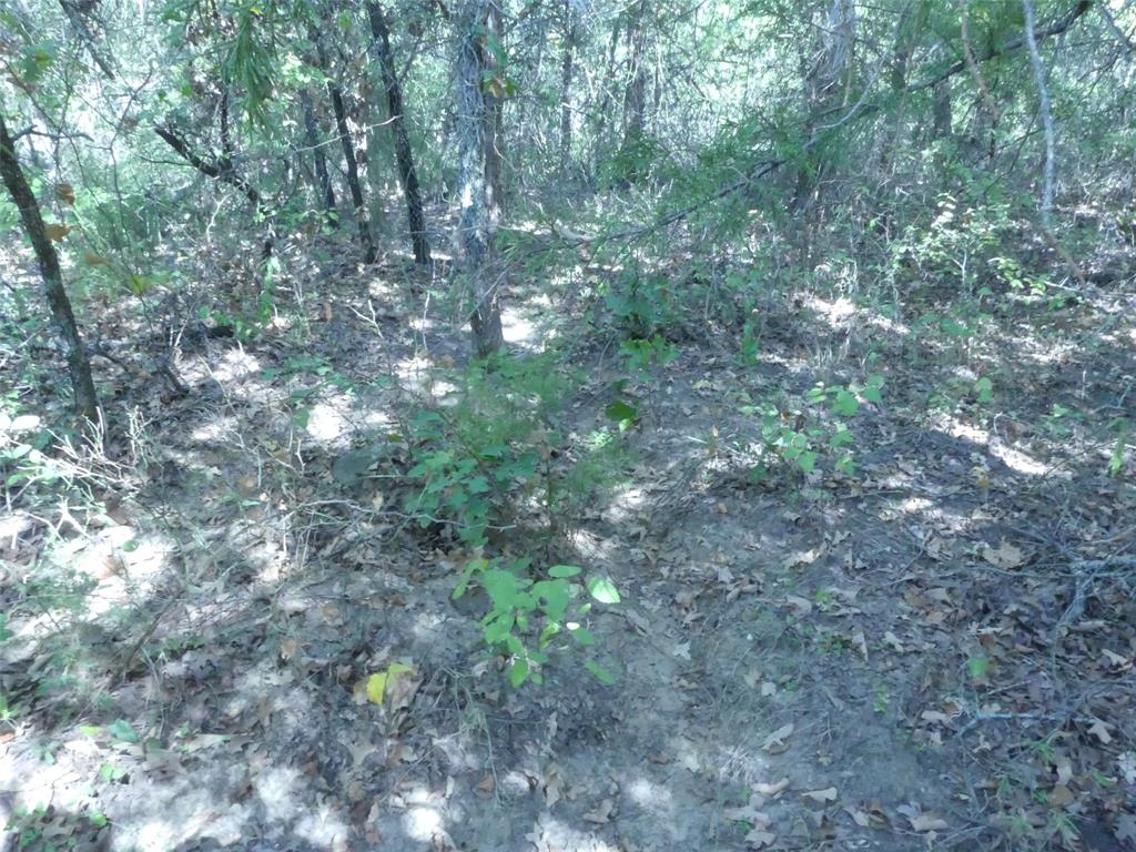 1746 Dog Kennel Road Property Photo 18