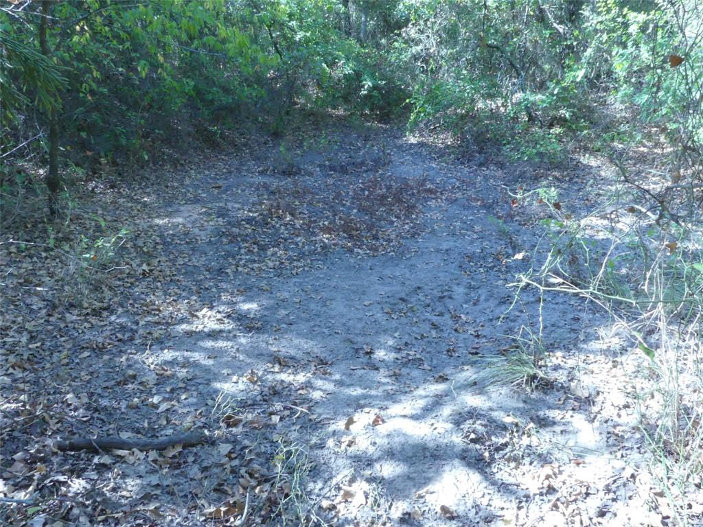 1746 Dog Kennel Road Property Photo 19