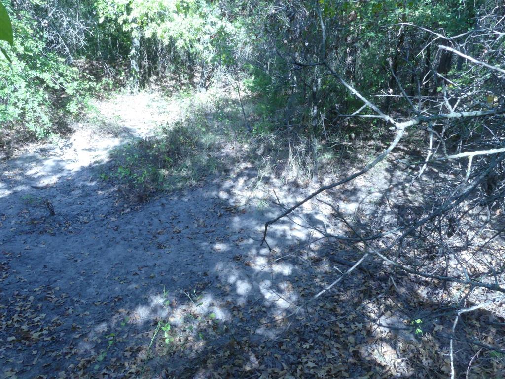 1746 Dog Kennel Road Property Photo 20