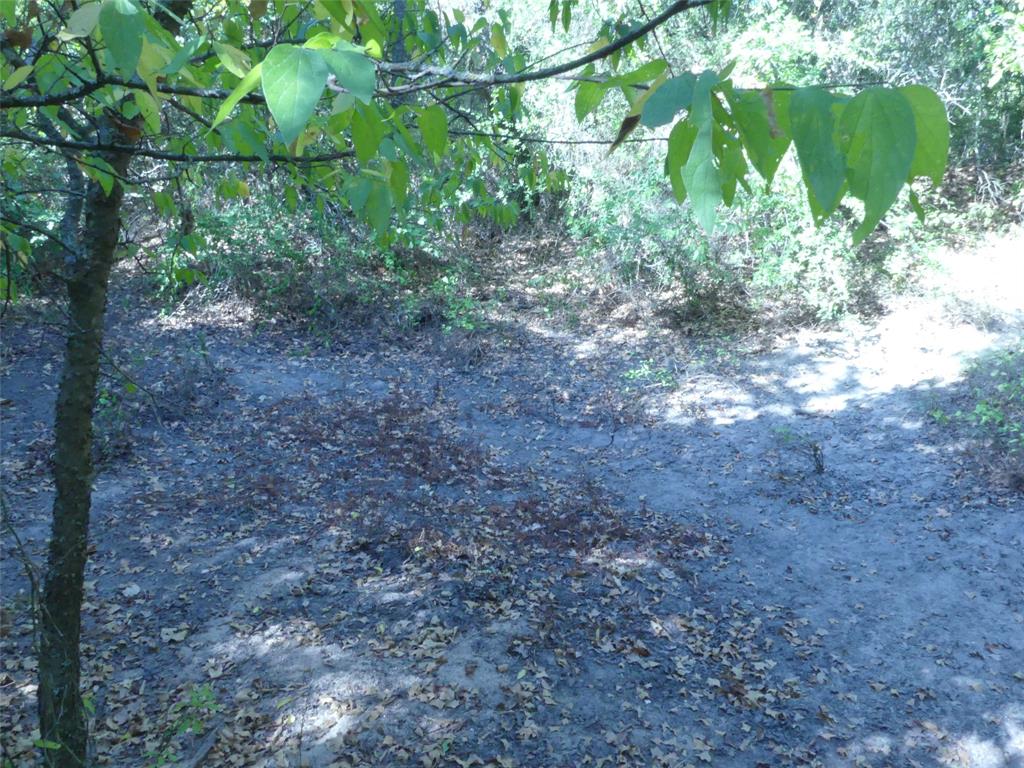 1746 Dog Kennel Road Property Photo 21
