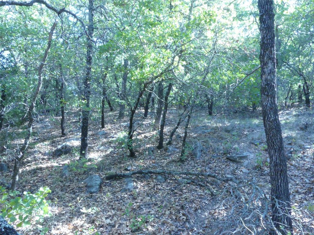 1746 Dog Kennel Road Property Photo 23