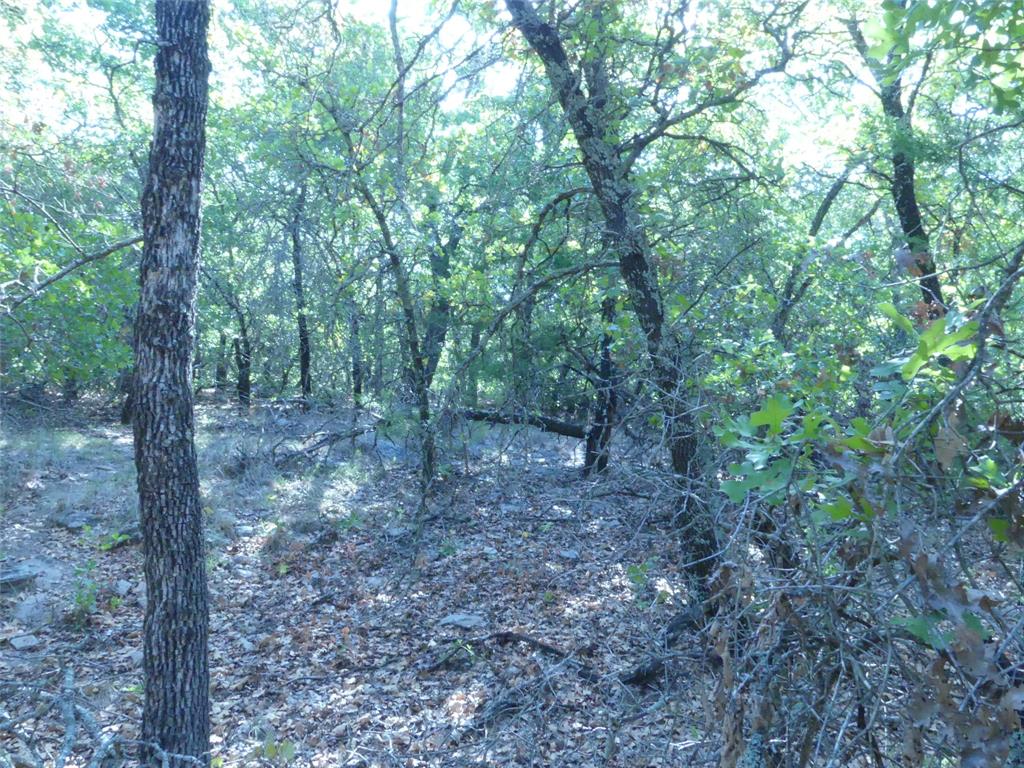 1746 Dog Kennel Road Property Photo 24
