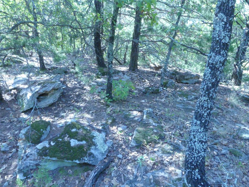 1746 Dog Kennel Road Property Photo 25