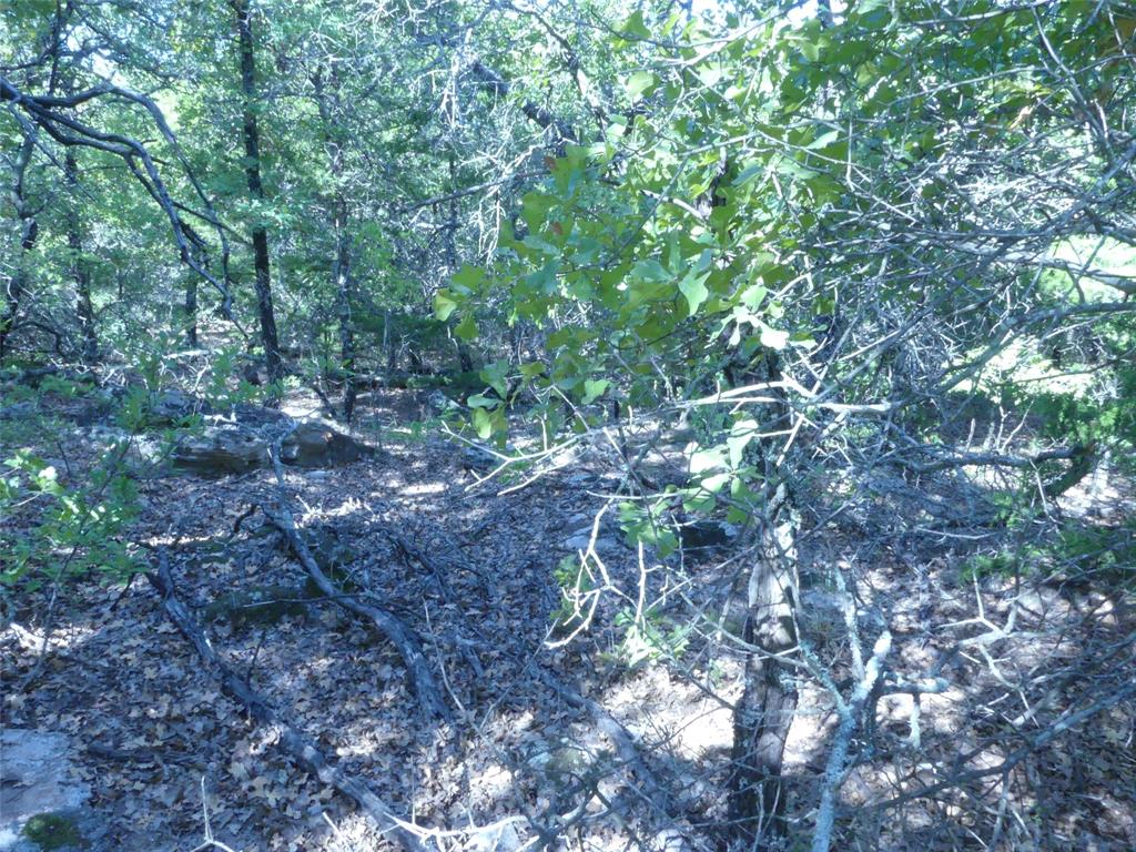 1746 Dog Kennel Road Property Photo 26