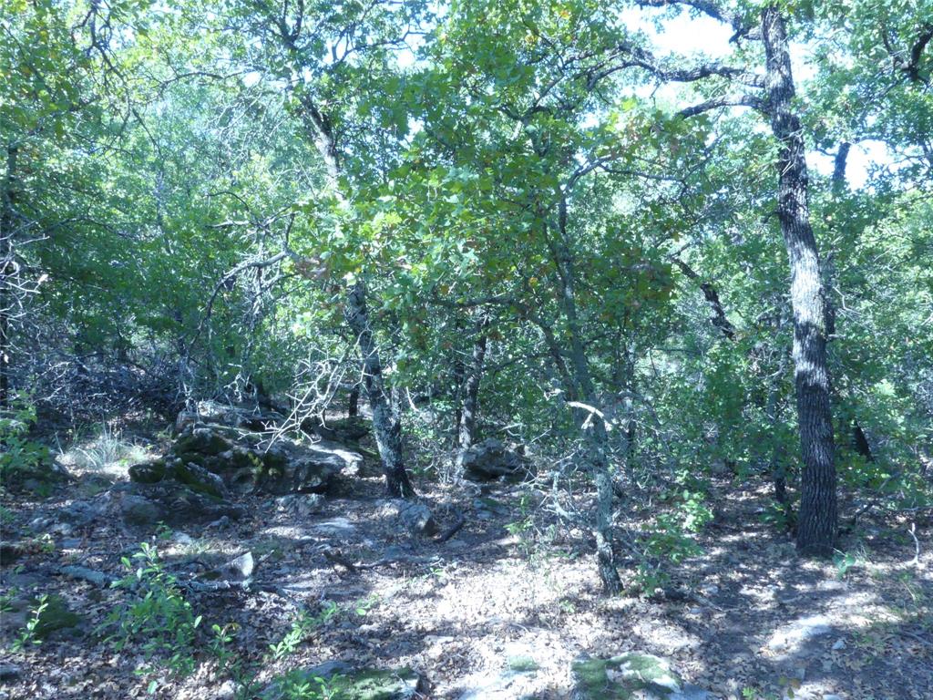 1746 Dog Kennel Road Property Photo 27