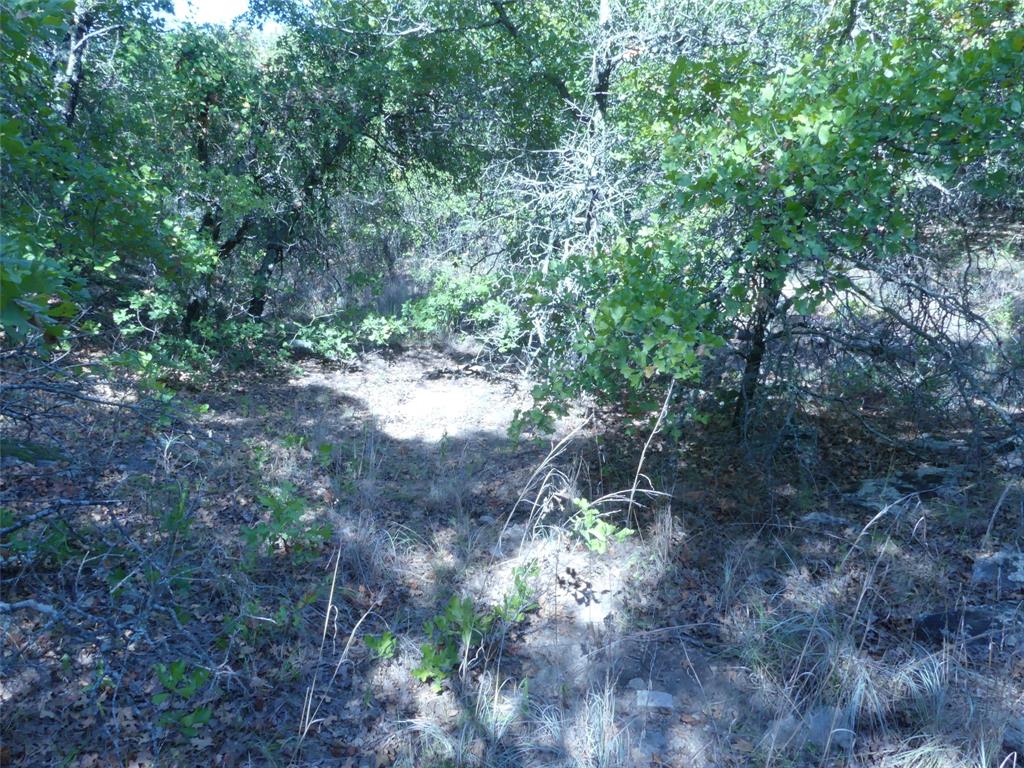1746 Dog Kennel Road Property Photo 31