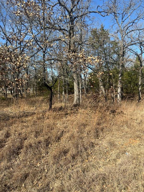 176 Oak Trail