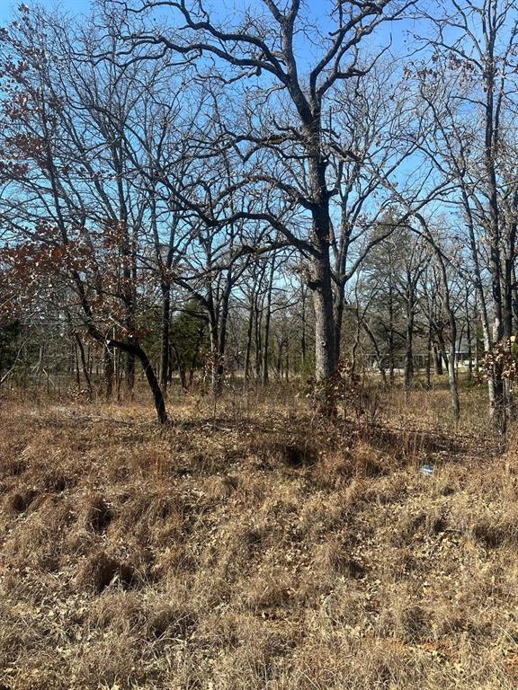 176 Oak Trail Property Photo 2